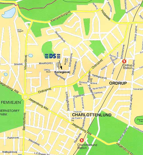 DS map